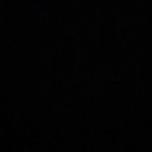 Meet your Posher, Serina